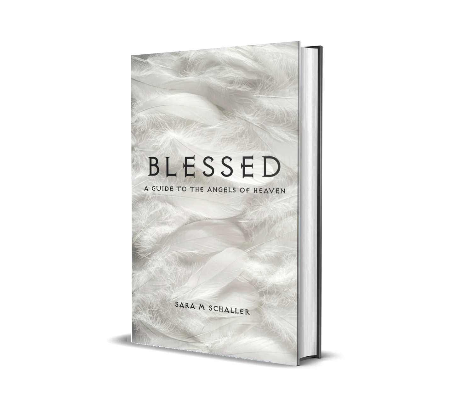 Blessed and Fallen: A Guide to the Angels of Heaven and Hell